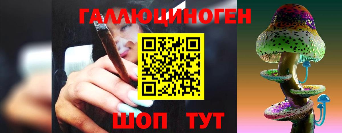 Псилоцибиновые грибы Cubensis Шатура